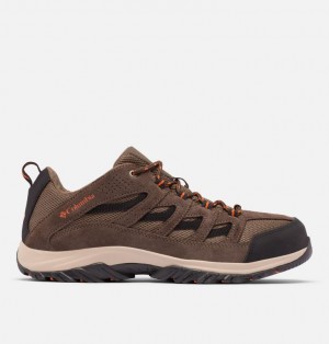 Columbia® Crestwood Men Hiking Shoes | HEQJWX-059