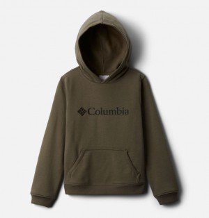 Columbia® Logo Kids' Hoodies | FENBJQ-563