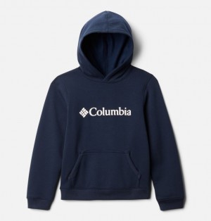 Columbia® Logo Kids' Hoodies | TXRMSG-270