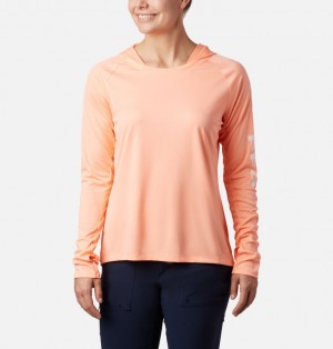 Columbia® PFG Tidal Tee Women Hoodies | YCQVZF-582