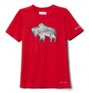 Columbia® Ranco Lake Kids' T-Shirts | AZDNOI-630