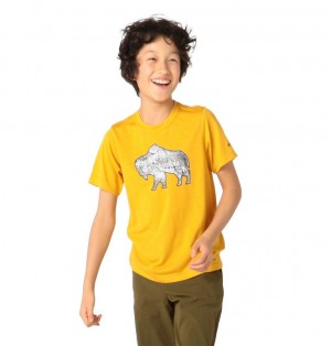 Columbia® Ranco Lake Kids' T-Shirts | ZIWYBM-608