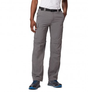 Columbia® Silver Ridge Men Hiking Pants | OAFJCN-209