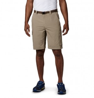 Columbia® Silver Ridge Men Shorts | YEOIJN-381