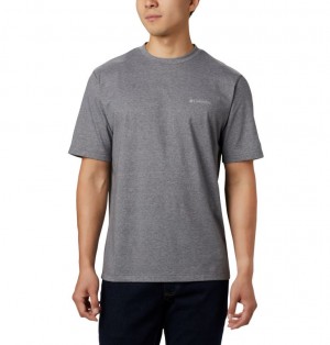 Columbia® Thistletown Park Men T-Shirts | VBXIGF-907