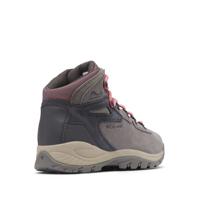 Columbia® Newton Ridge Plus Women Hiking Shoes | YFXOGT-257